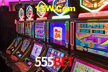 555Bet - User Statistics